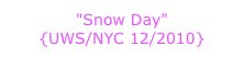 "Snow Day"  {UWS/NYC 12/2010}